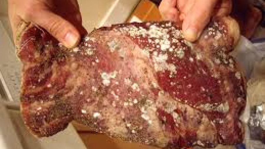 Dezastru pe litoral. Ce au găsit inspectorii ANSVSA în bucătăriile restaurantelor