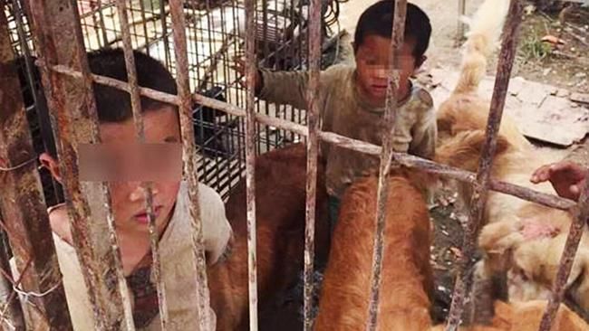 Doi fraţi de 6 şi 4 ani, crescuţi de bunic în cuşti, alături de câini: Se luptă cu ei pentru mâncare