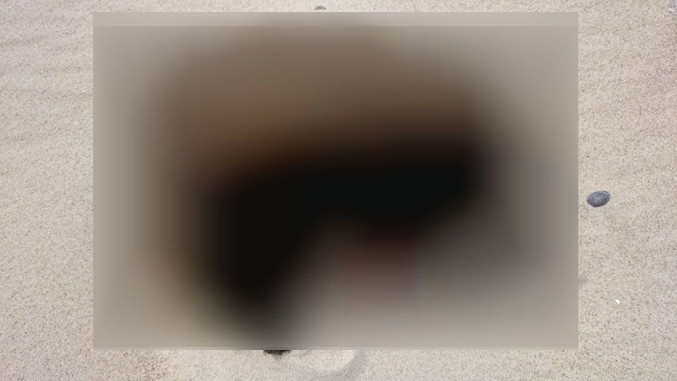 Nu se puteau opri din râs când au găsit-o pe plajă, în starea asta. I-au făcut imediat fotografii