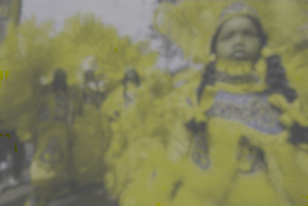 Galerie Foto: Cum văd câinii? Lumea prin ochii patrupedelor