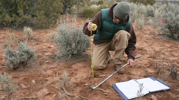 Descoperire spectaculoasă în apropiere de Timişoara. Ar putea rescrie istoria