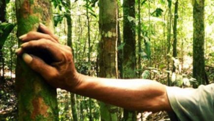 O tânără de 19 ani, angajată la Cabana Omu, dispărută fără urmă. Autorităţile, în alertă