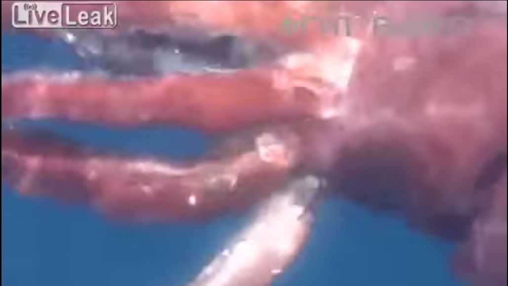 Monstrul surprins de marinarii ruși. A stat câteva secunde, apoi s-a scufundat în adâncuri 