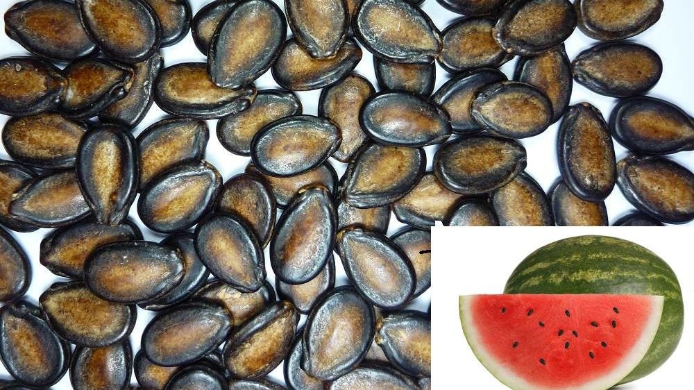 Nu mai arunca seminţele de pepene roşu. Sunt bune de mâncat