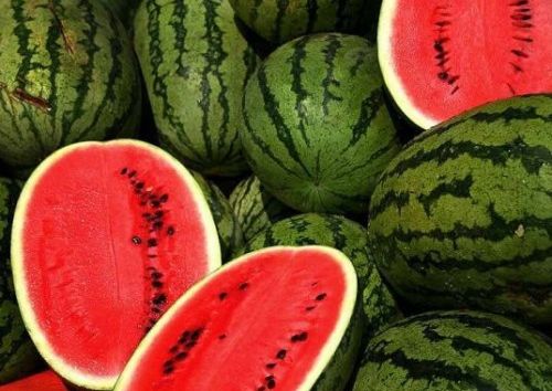 Lubenițele de Dăbuleni ajung și în Suedia