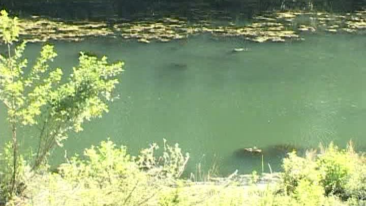 Sfârșit teribil pentru un bărbat din Argeș, plecat la pescuit