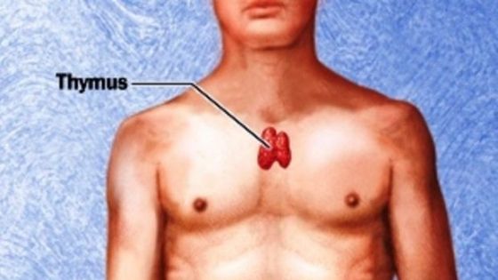 Organul fericirii: unde se găseşte şi cum îl activezi