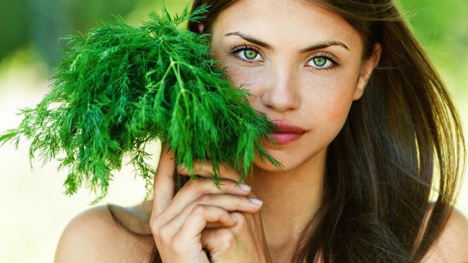 Tinctură de mărar pentru creșterea sânilor, fără intervenții chirurgicale