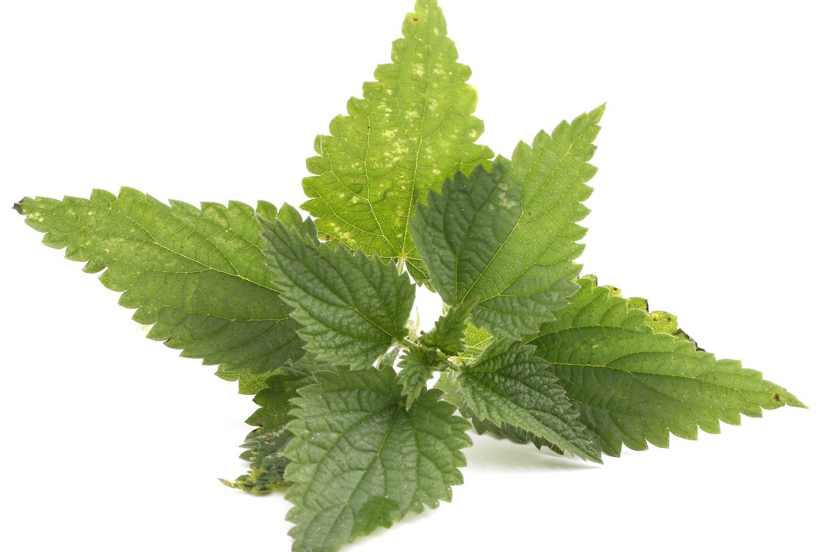 Cele mai bune remedii pentru curățarea sângelui