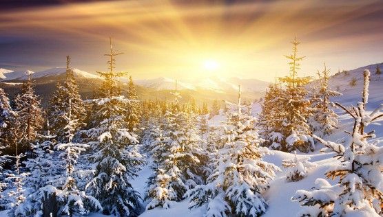 Mica eră glaciară, anunțată de cercetători. Iată cum va arăta în Europa. Imagini fascinante