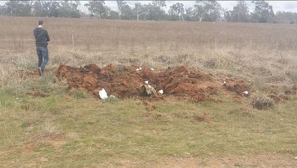 Au crezut că sunt vizitați de extratereștri. E incredibil ce au descoperit într-o groapă