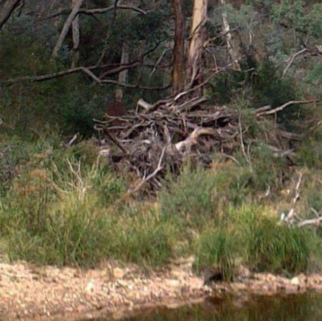 Secretul din spatele acestei imagini te va îngrozi 