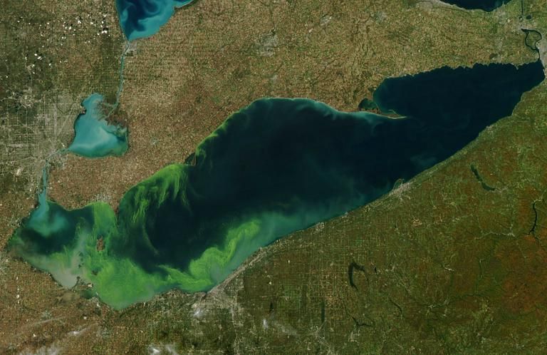 FOTOGRAFIILE ZILEI, capturate de NASA: explozie de alge în lacul Erie