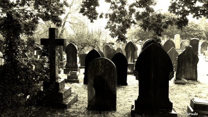 Și-a dezgropat tatăl mort de 30 de ani și și...lumea s-a îngrozit când a văzut ce a făcut