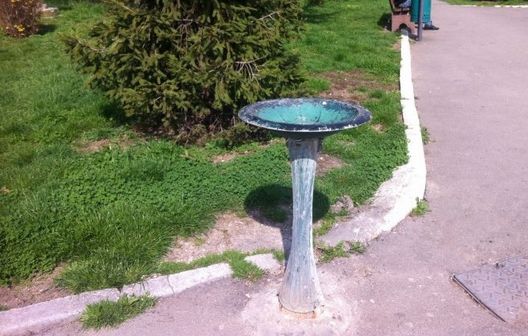 Baie în stradă, la o cişmea din Galaţi. Nu le-a venit să creadă când au văzut ce avea pe ea!