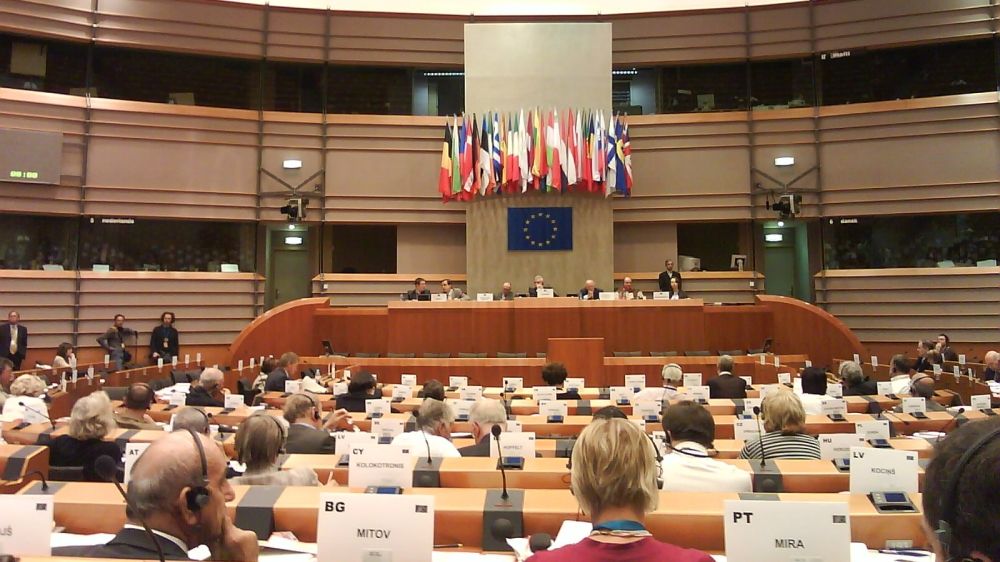 Guvernul a trimis nominalizările. Cine ne va reprezenta în Comitetul Economic și Social European