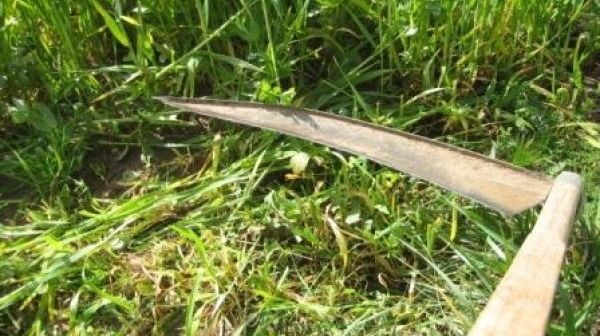 Şocant: Şi-a făcut dreptate cu coasa