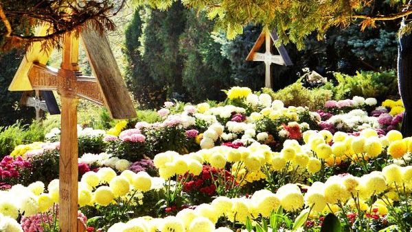 A observat cum florile de la mormântul fratelui său dispăreau. A rămas uluit când a aflat adevărul