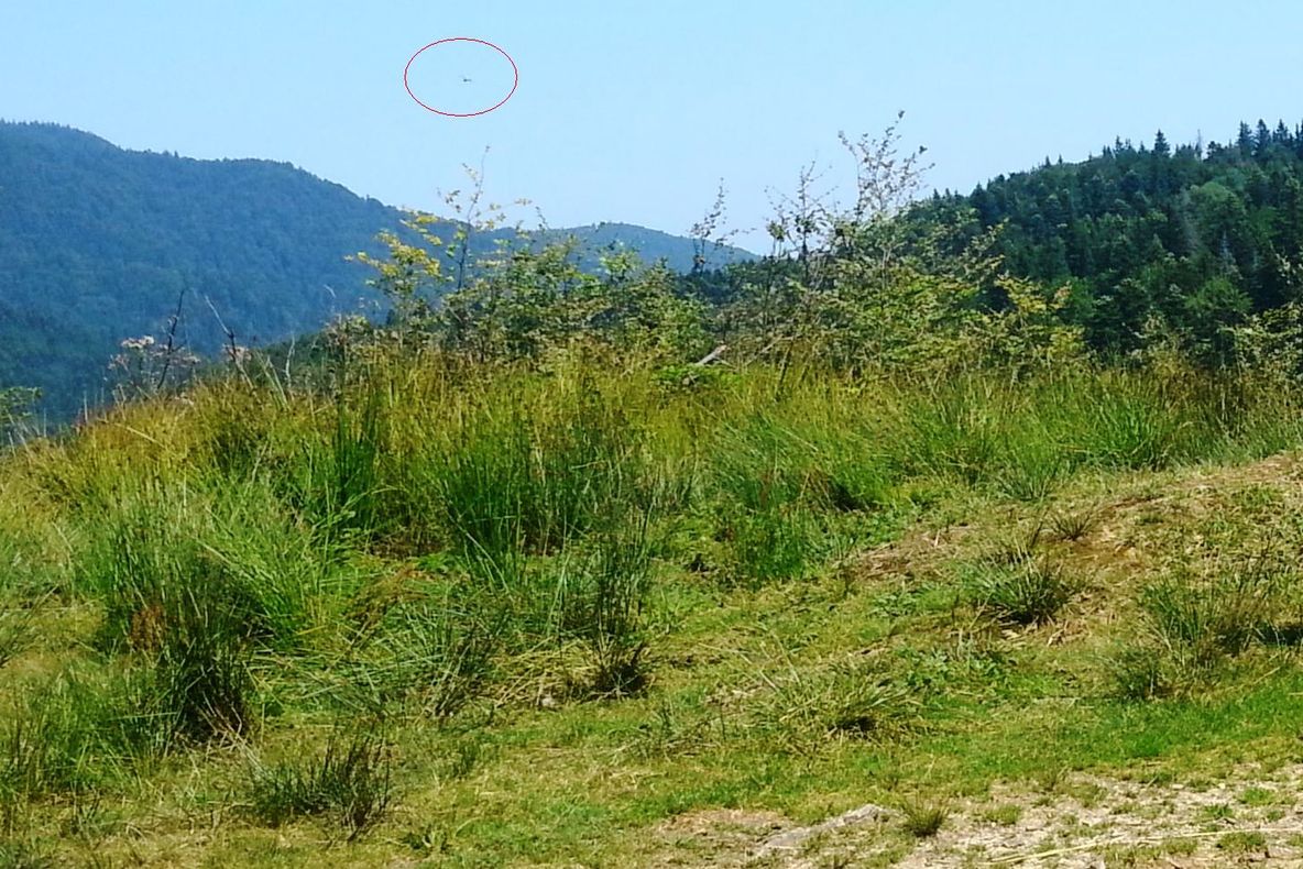 Căutările avionului prăbușit, reluate duminică. Noul indiciu pe care l-au primit salvatorii