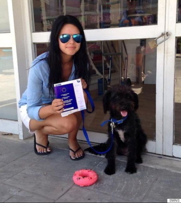 Cățelușa a salvat-o de la viol. Ce s-a întâmplat apoi te va înduioșa până la lacrimi