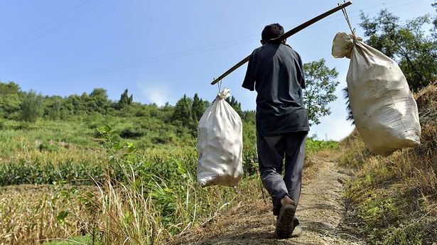 Nu are mâini, dar a ajutat-o pe mama sa. Gestul impresionant făcut de un bărbat din China