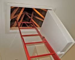 A auzit zgomote în podul casei și a mers să-l verifice. Când a deschis ușa s-a îngrozit