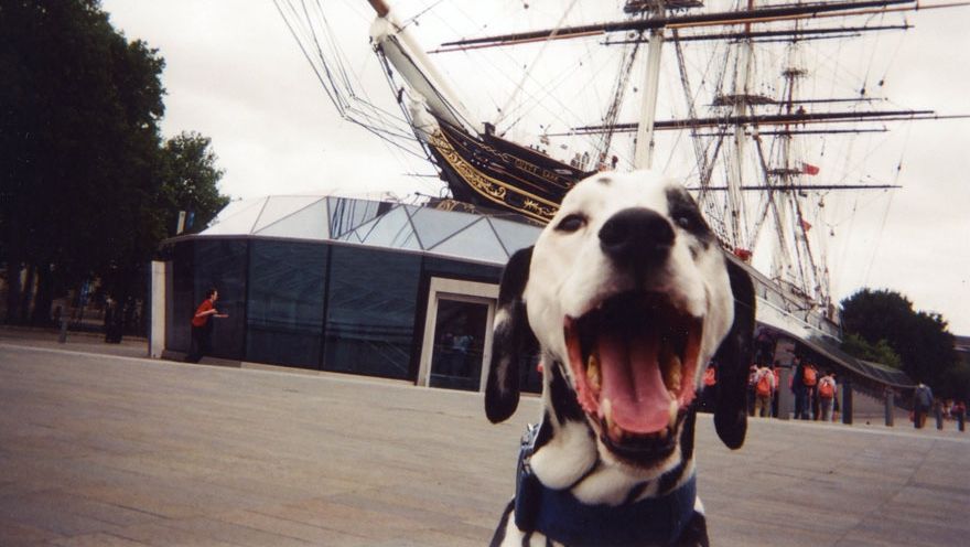 Oamenii străzii din Londra au primit aparate foto. Pozele lor i-au lăsat fără cuvinte pe specialiști