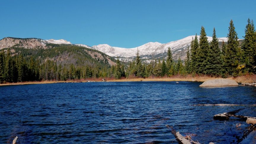 A intrat în lac și a simțit ceva pe picior. S-a uitat în apă și a înlemnit. Acum este un erou