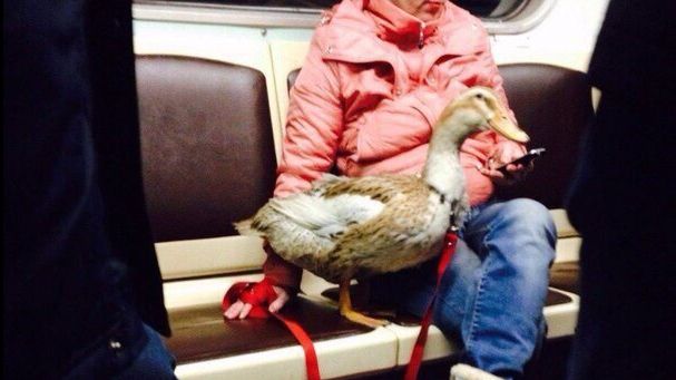 Cei mai ciudaţi oameni de la metrou. Nebunia lor nu are limite