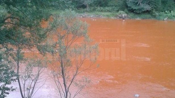 Dezastru ecologic pe râul Bistrița. Un milion de litri de substanțe toxice s-au scurs în apă