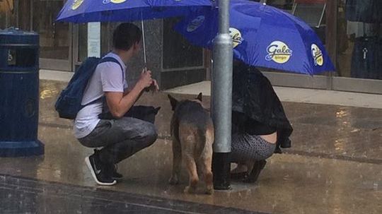 Povestea emoţionantă din spatele acestei fotografii. "Au aşteptat acolo"