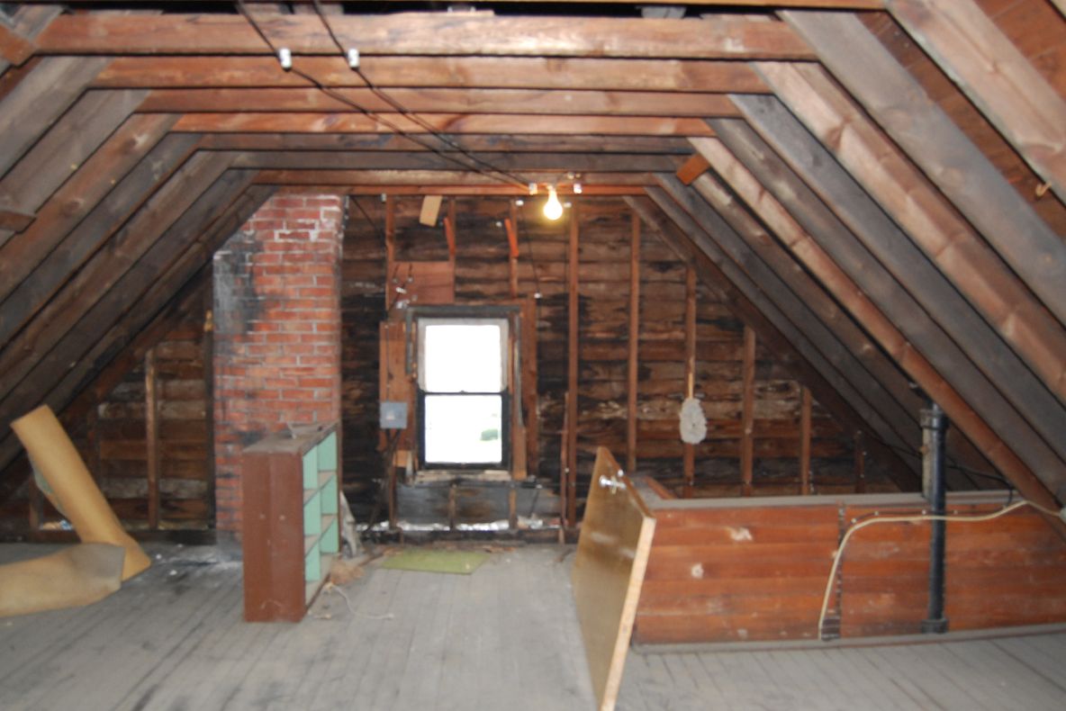 Au auzit zgomote puternice din podul casei. Când au văzut cine le provoca, au înmărmurit