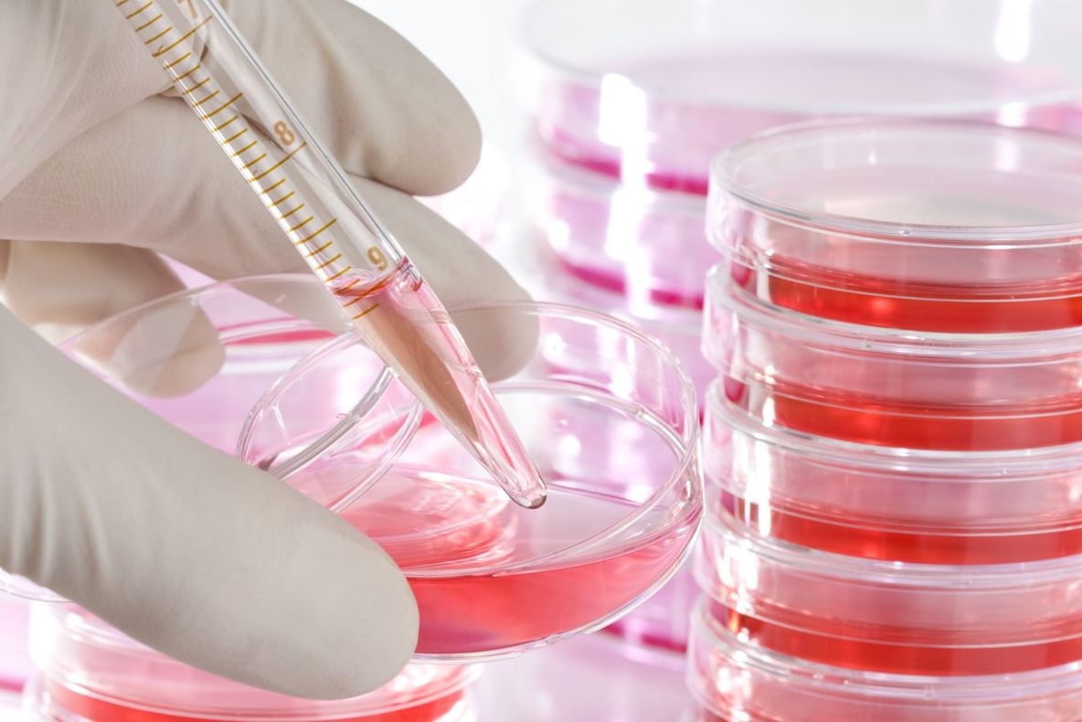 Cauzele mai puțin știute ale hepatitei