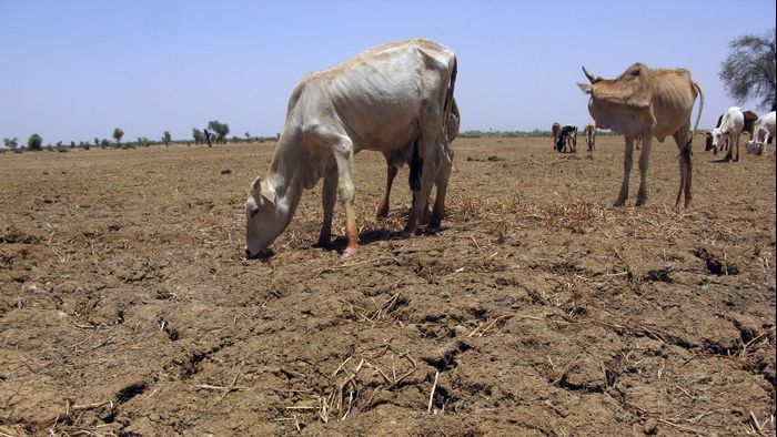 Prognoza meteo pe trei luni. Veşti nu tocmai bune de la meteorologi