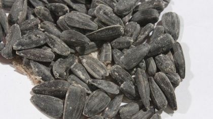 Pericolele consumului de seminţe sărate. Avertismentul nutriţioniştilor 