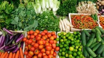 DSVSA Dolj recoltează probe din legume și fructe, în urma cazului fetiței internate cu E.coli