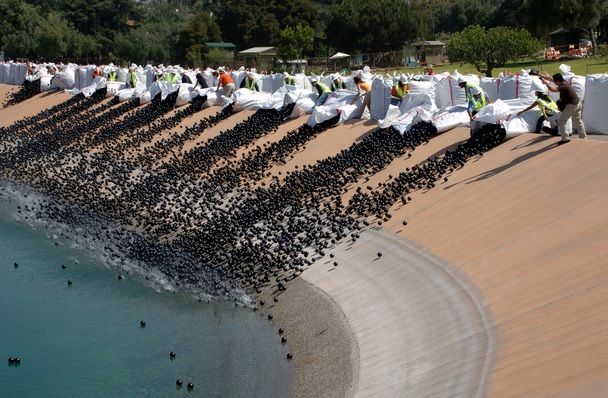 Au aruncat milioane de mingi negre de plastic în apă. Motivul, halucinant! 