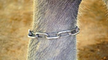 Zece semne că îți faci faci viața mai grea decât este 