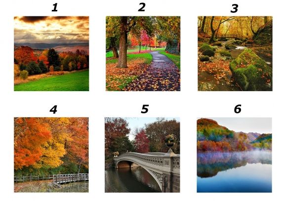 Test psihologic. Ce se va întâmpla în această toamnă în viața ta, în funcție de poza pe care o alegi