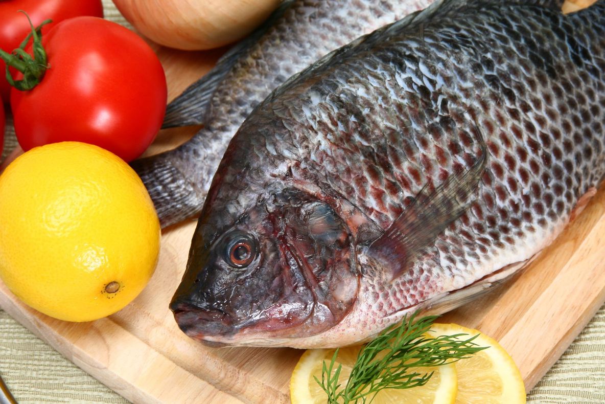 Atenţie la toxinele din alimente!