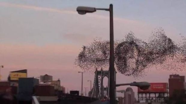 Chipul lui Putin a apărut pe cer. Detaliul uluitor care anunță invazia rușilor