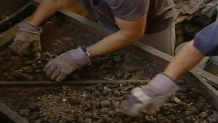 Oribil: Cel mai urâte meserii din lume. Unii oameni îşi câştigă existenţa în moduri dizgraţioase