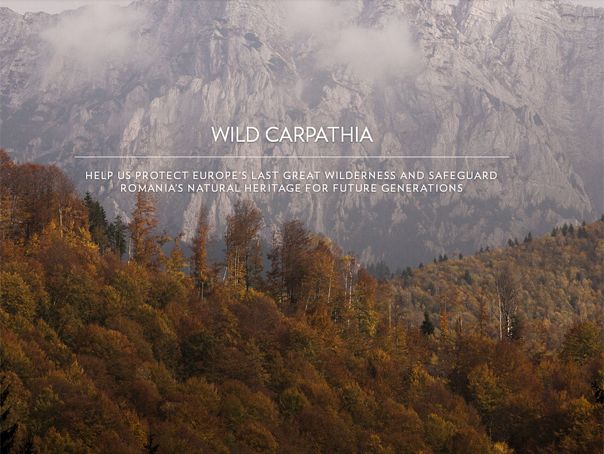Wild Carpathia, în impas. Echipa documentarelor cere ajutorul românilor pentru a promova România