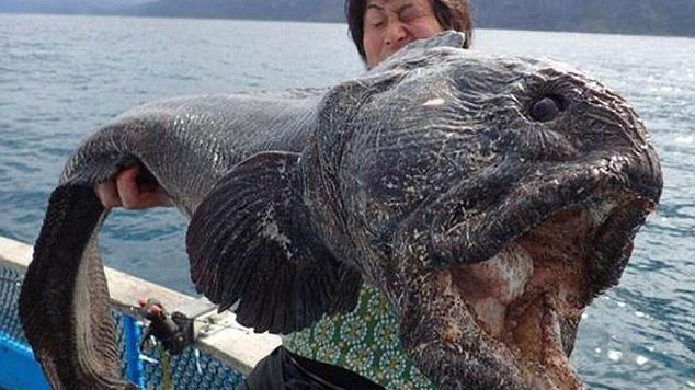 A scos un monstru dintr-un lac: "Ce creatură e asta?"