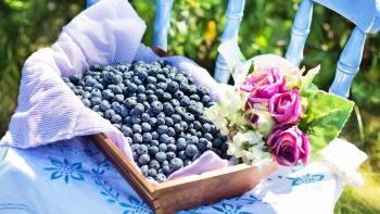 5 motive să mănânci zilnic afine