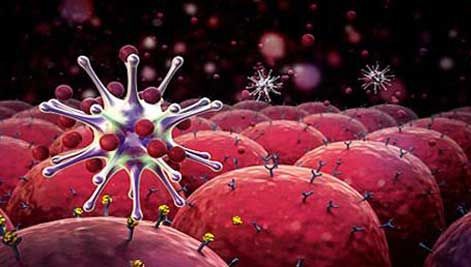 Doctorilor nu le-a venit să creadă. Alimentul banal cu care o femeie s-a vindecat de cancer