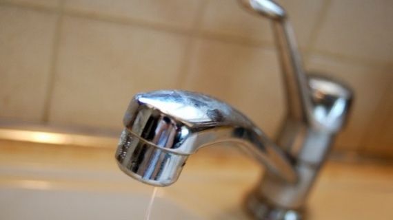 Cum ajunge apa din Argeş şi Dâmboviţa să fie băută de bucureşteni. "Am găsit aici un porc întreg"