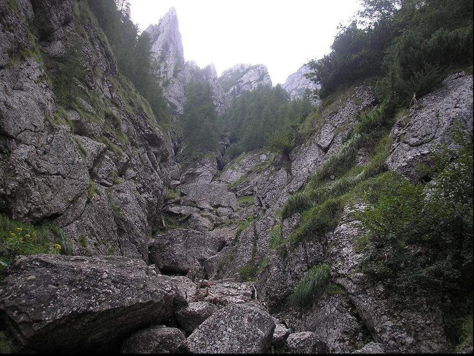 Tragedie în munții Bucegi: Cine era tânăra atacată MORTAL de urs. Animalul a fost împușcat