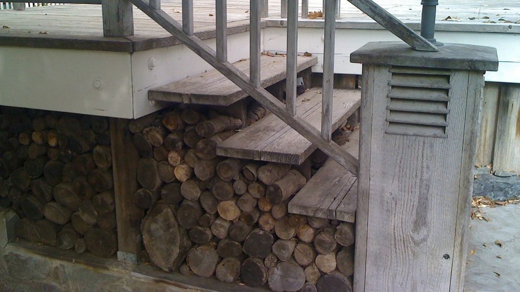 A auzit zgomote în subsolul casei şi a mers să verifice locul. Ce a găsit acolo l-a pus pe fugă