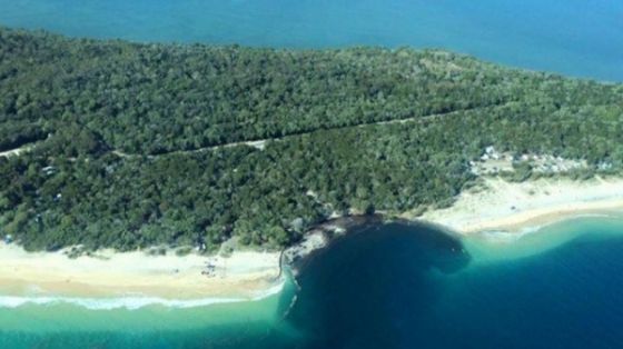 Fenomenul care i-a uluit pe oamenii de știință. S-a întâmplat peste noapte